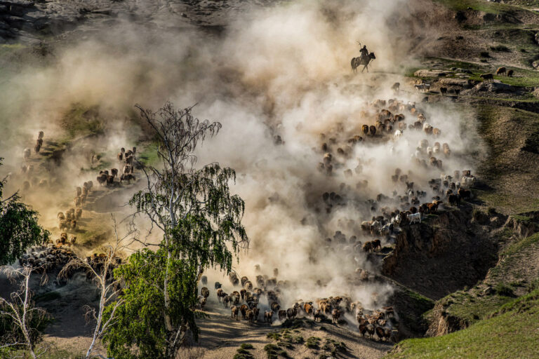 Nomadic Life - 05 Vigrous Life